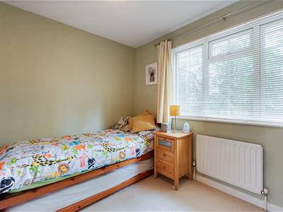Picture 22